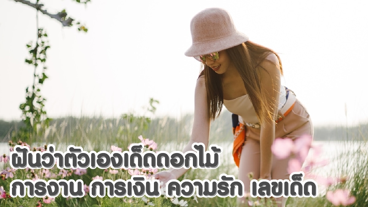 ฝันว่าตัวเองเด็ดดอกไม้ 