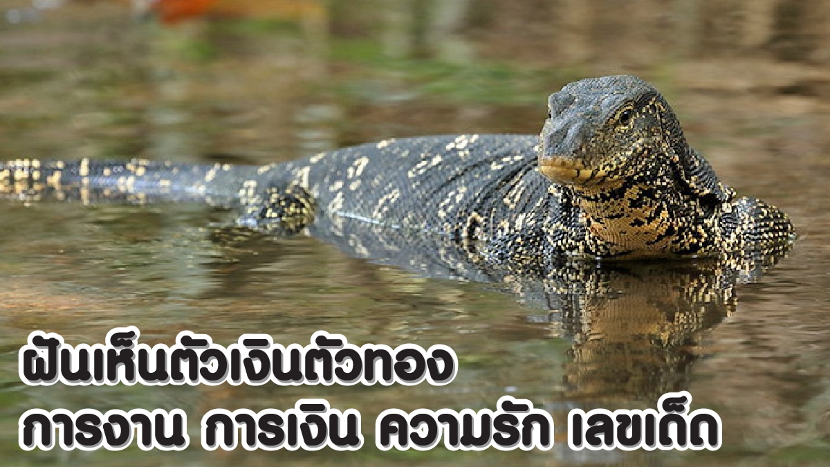 ฝันเห็นตัวเงินตัวทอง