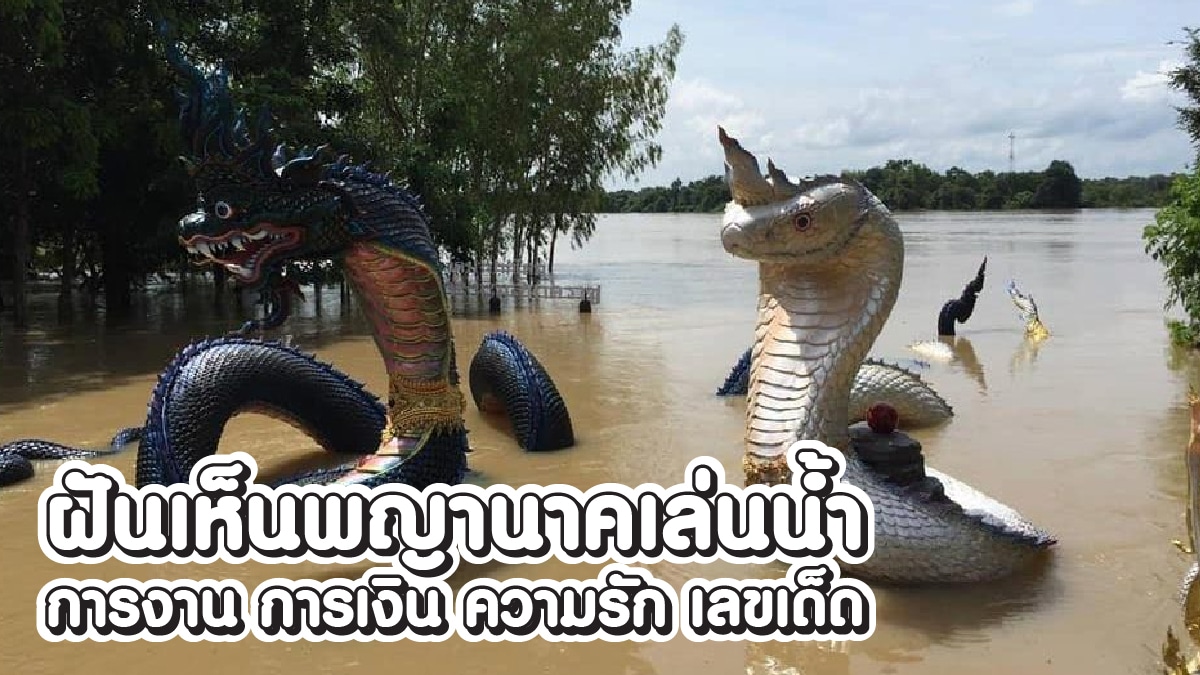 ฝันเห็นพญานาคเล่นน้ำ