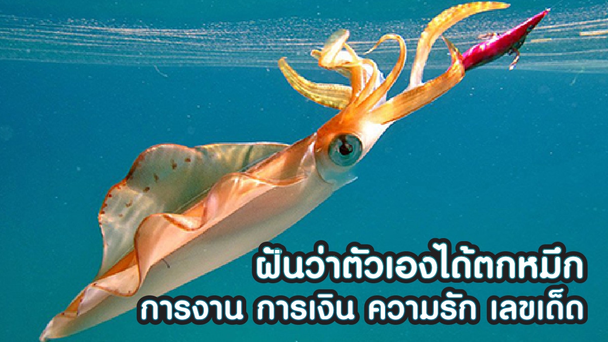 ฝันว่าตัวเองได้ตกหมึก