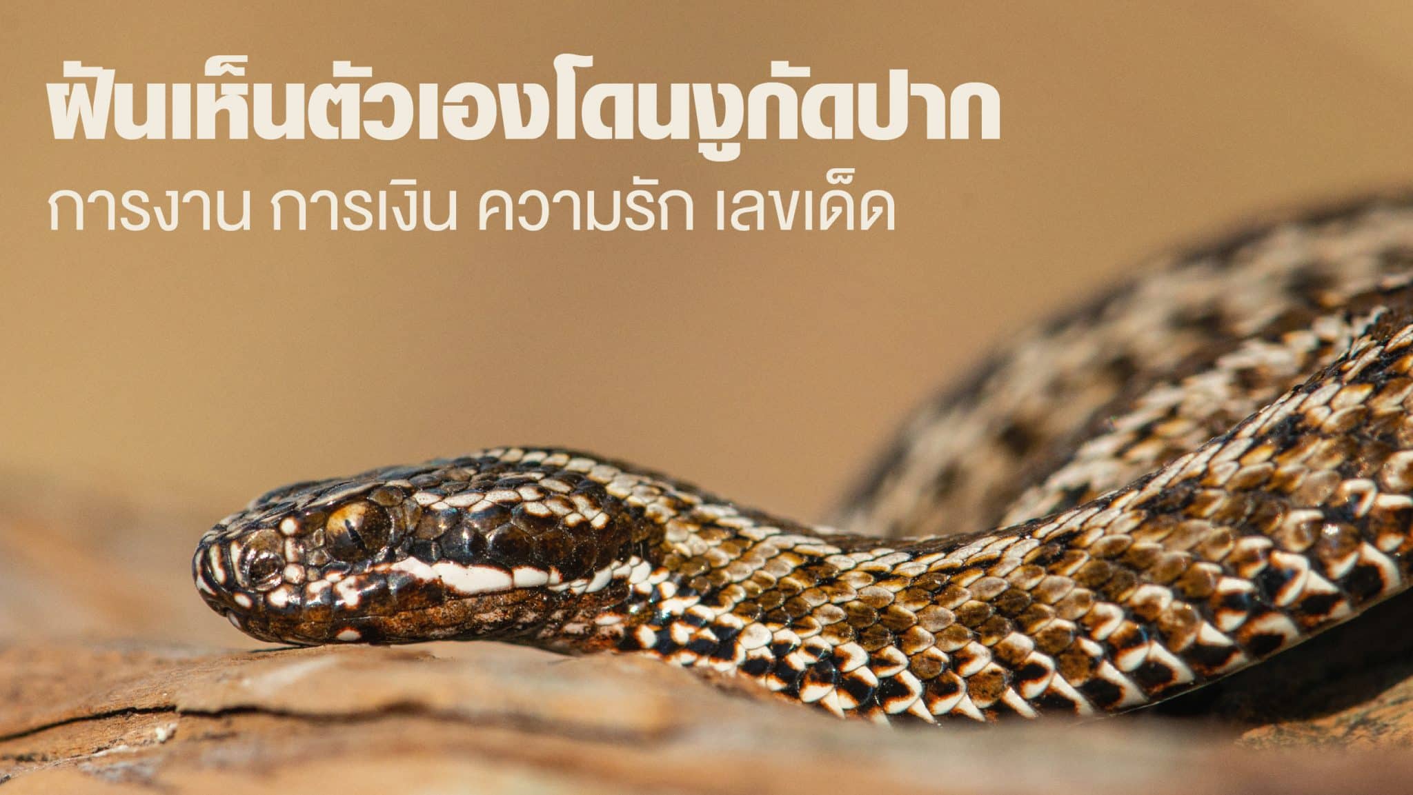 ฝันเห็นตัวเองโดนงูกัดปาก