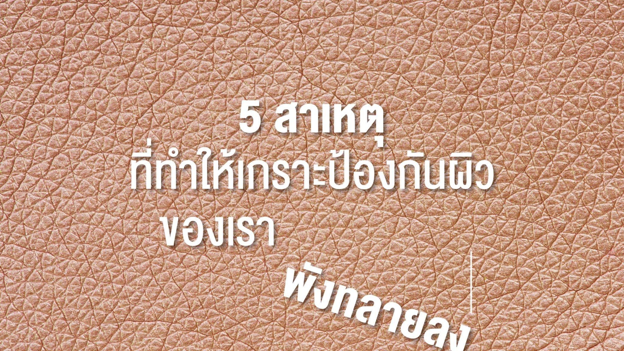 เกราะป้องกันผิว