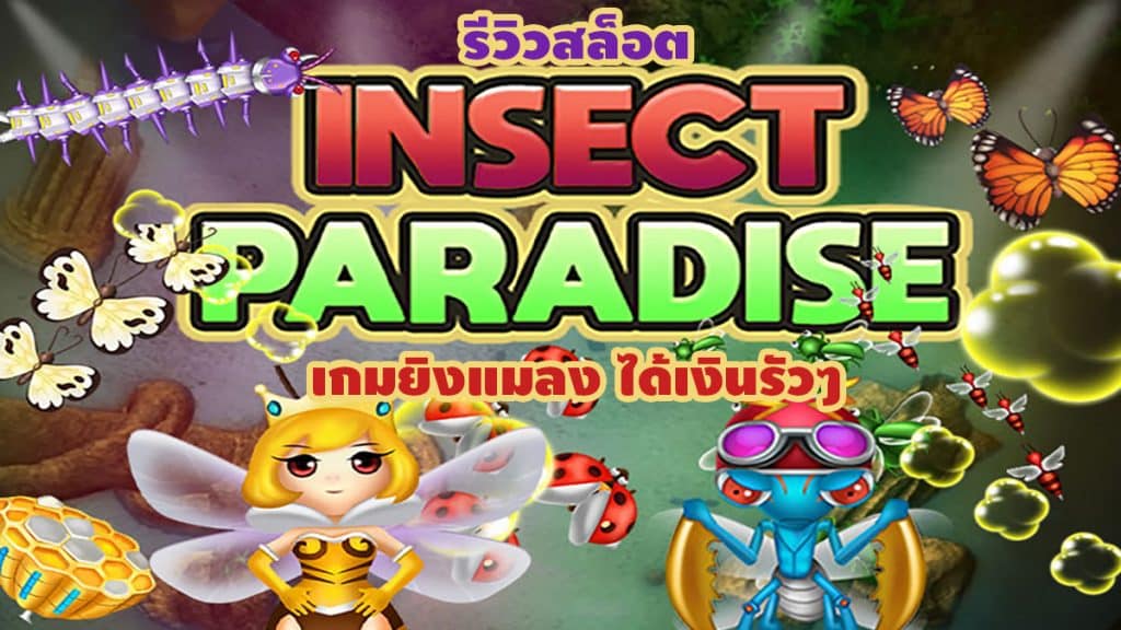 insect paradise รีวิว