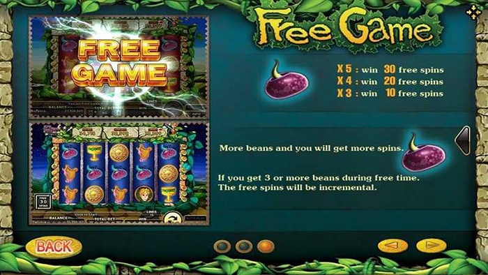 Beanstalk Slot